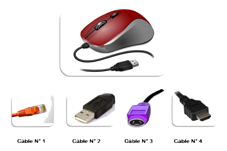 CD-ROM Magazine multi-média ou Logiciel